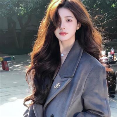 维杰兰·托米奇：巴黎蜘蛛人大盗